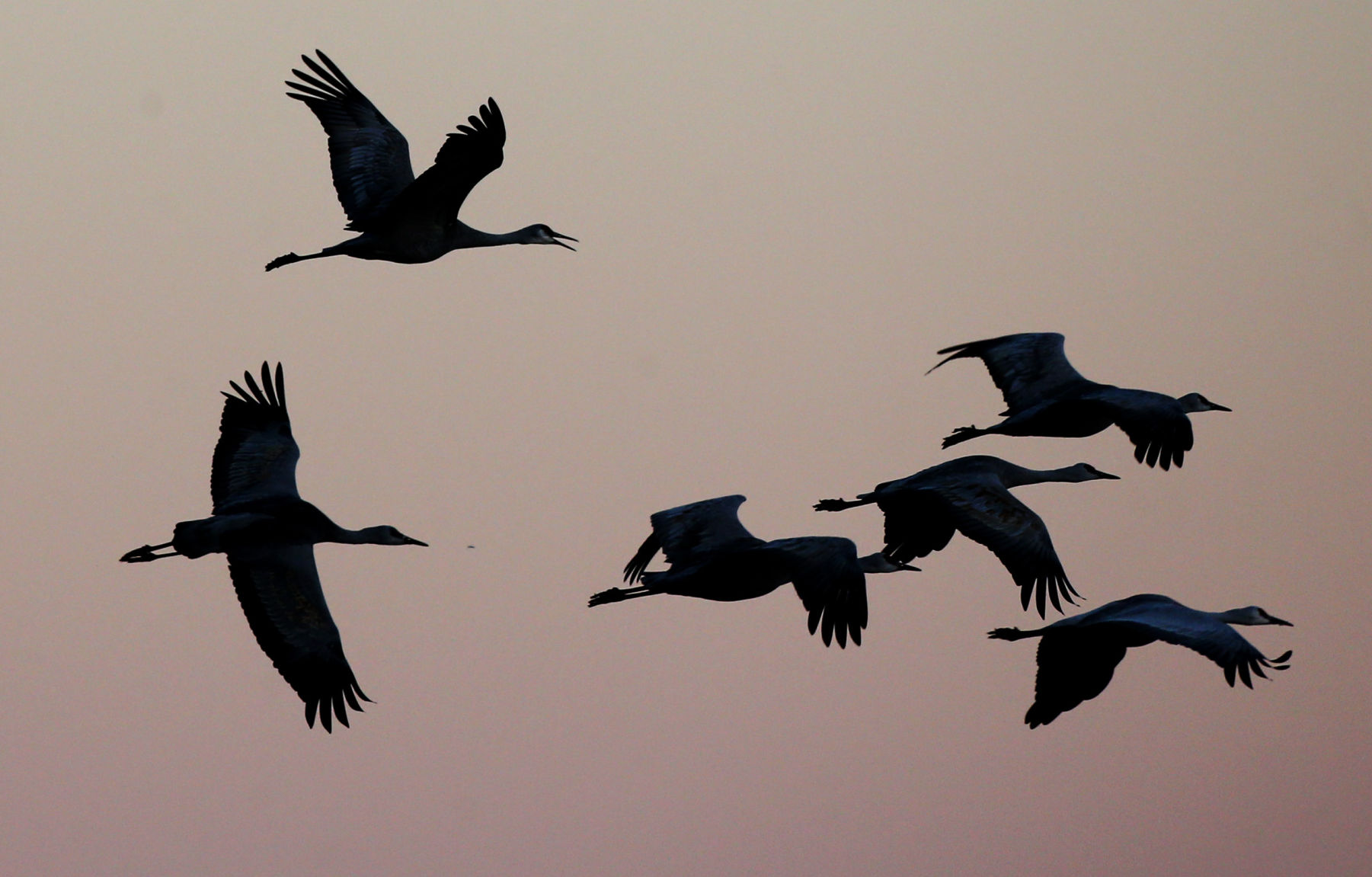 2018 Wings over Willcox